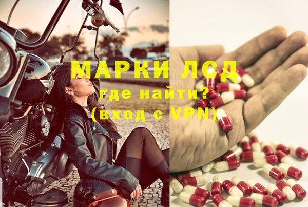 трава Балахна